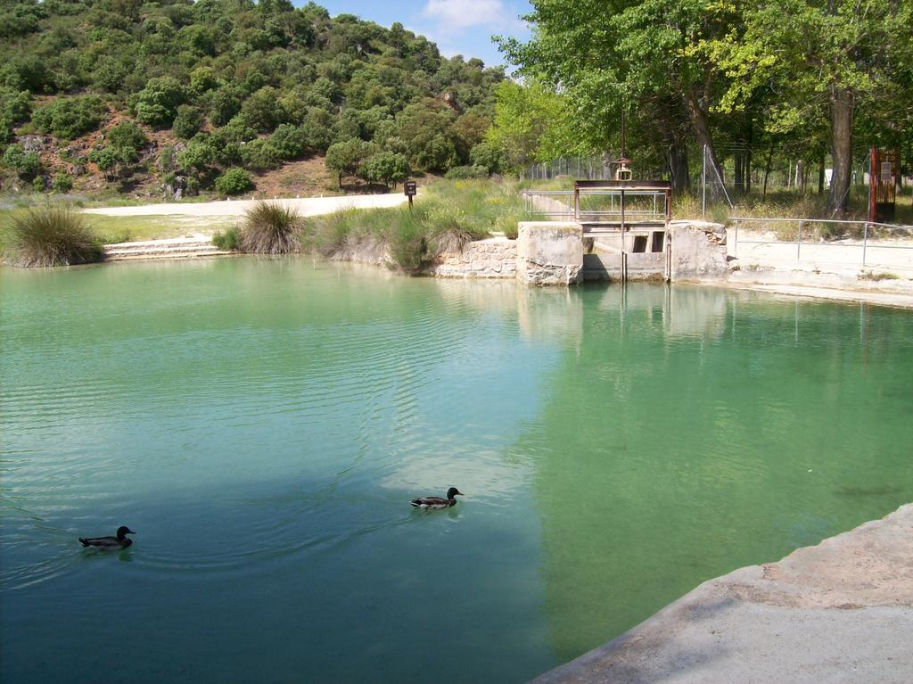 Country house El Palomar *
