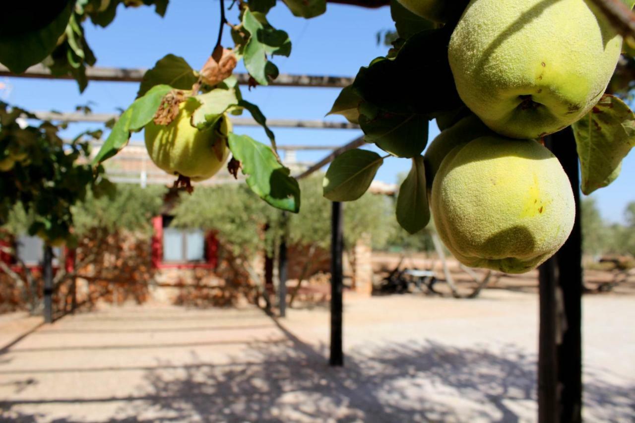 Country house El Palomar