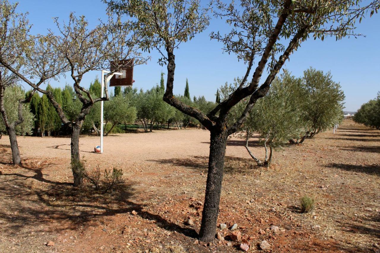 El Palomar